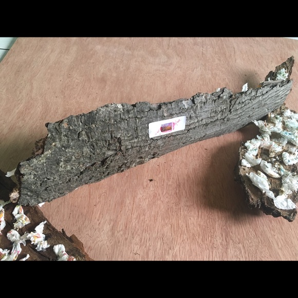 Wood art - Picture 8 of 15